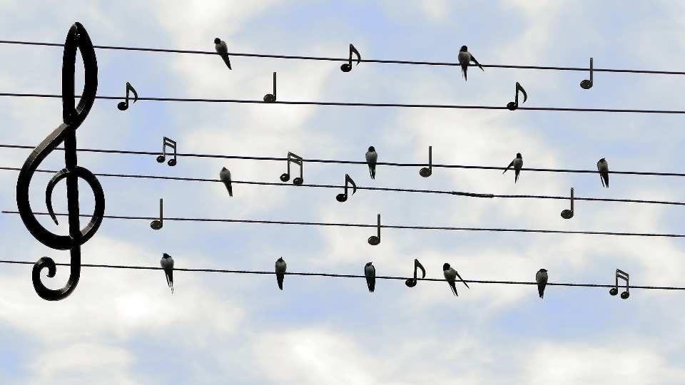 Fête de la musique 2018